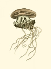 Creatures of the Sea I