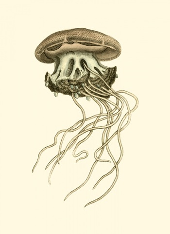 Creatures of the Sea I