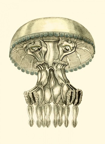 Creatures of the Sea II