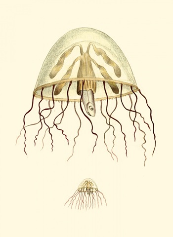 Creatures of the Sea III