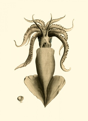 Creatures of the Sea IV