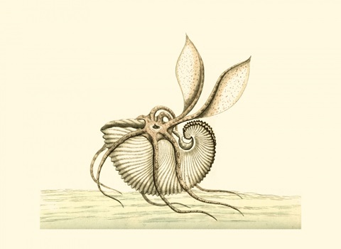 Creatures of the Sea V