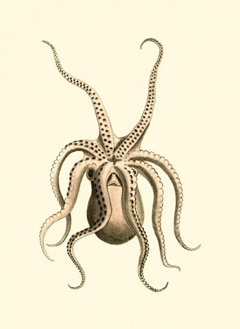 Creatures of the Sea VI