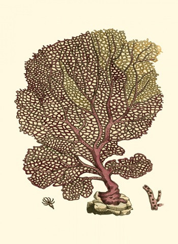 Jewels of the Sea II