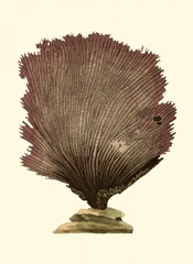 Jewels of the Sea III