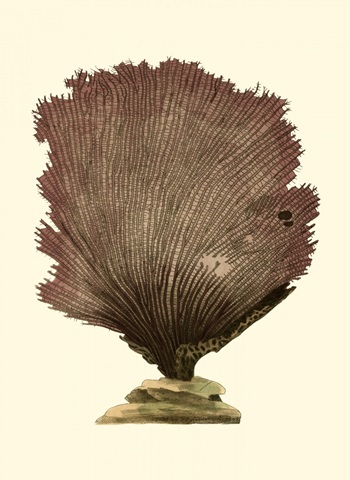 Jewels of the Sea III