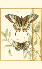 Mini Tandem Butterflies II