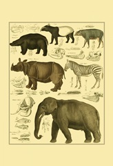 Oken Elephant and Zebra