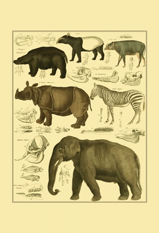 Oken Elephant and Zebra