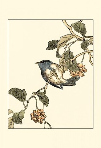 Oriental Bird on Branch III