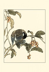 Oriental Bird on Branch IV