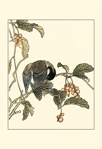 Oriental Bird on Branch IV