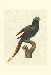 Crackled Antique Parrot III