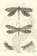 Dragonfly Delight I