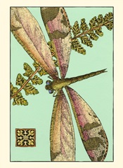 Dragonfly on Aqua II