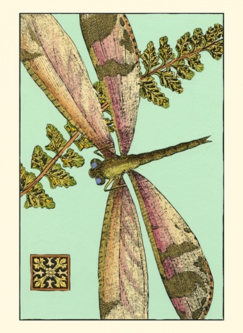 Dragonfly on Aqua II