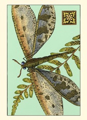 Dragonfly on Aqua III