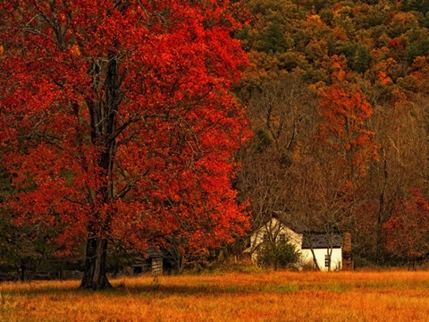 Farm House on a Autumn Morn'
