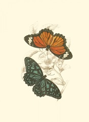 Jardine Butterflies II