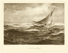 A Gale of Wind