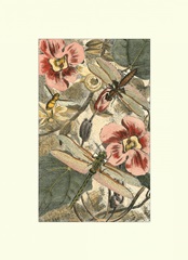 Dancing Dragonfly II