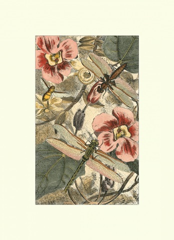 Dancing Dragonfly II