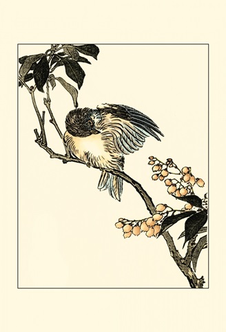 Oriental Bird on Branch V