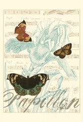 Papillon Melange III