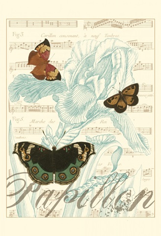 Papillon Melange III