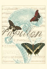 Papillon Melange IV