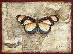 Poetic Butterfly I