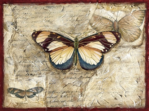Poetic Butterfly I