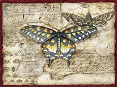 Poetic Butterfly II
