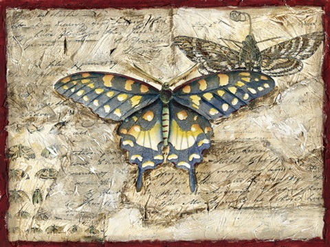 Poetic Butterfly II