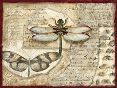 Poetic Dragonfly I
