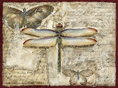 Poetic Dragonfly II