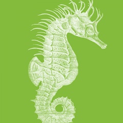 Saturated Sea Life II