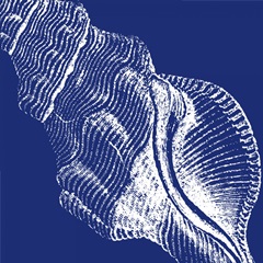 Saturated Shells III