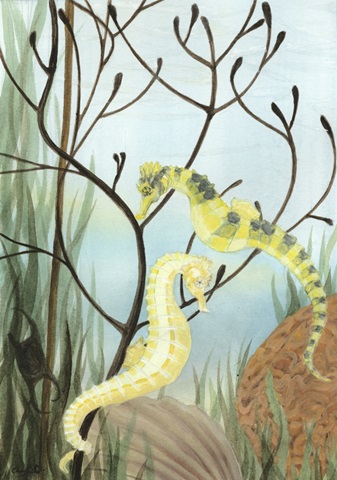Seahorse Serenade II