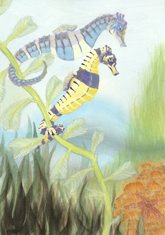 Seahorse Serenade III