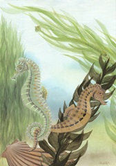 Seahorse Serenade IV
