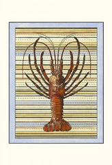 Seashore Lobster
