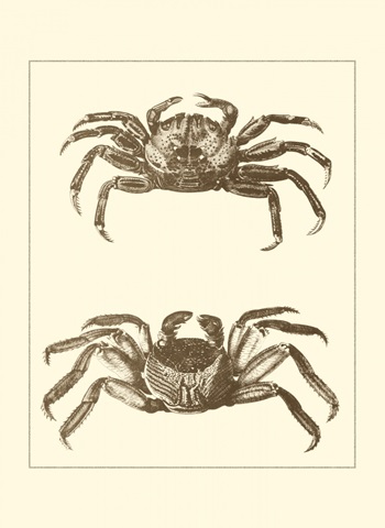 Sepia Crabs II