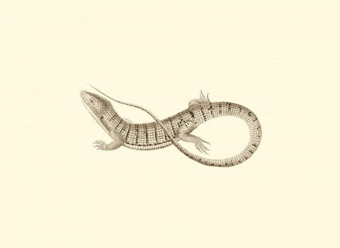 Sepia Lizard I