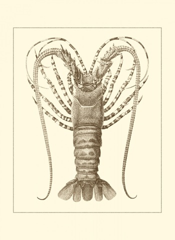 Sepia Lobster I