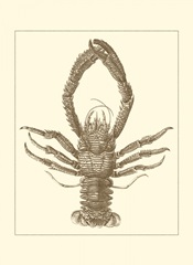 Sepia Lobster II