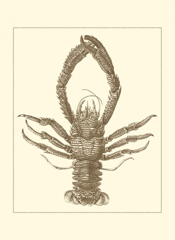 Sepia Lobster II