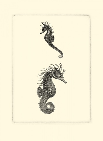 Sepia Seahorse