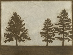 Silver Pine I