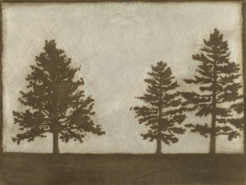 Silver Pine I